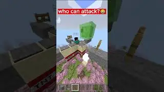 Which Mob Can Attack?😂