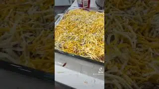 How make lasagna #shortvideo #food #eating #shorts #short #lasagna