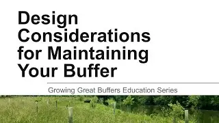 Design Considerations for Maintaining Your Buffer
