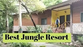 Best Jungle Resort in Madhya Pradesh | Udaygiri Tree House