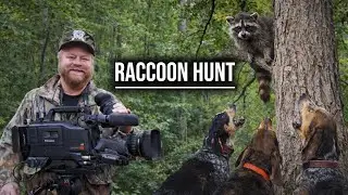 Hunting Raccoons in 1985