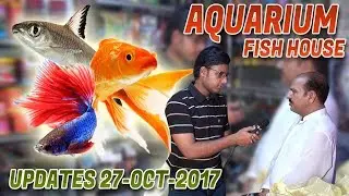 Aquarium Fish House Updates 27-Oct-2017 Jamshed Asmi Informative Channel In (Urdu/Hindi)