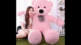 Teddy Day 2021: Why is Teddy Day Celebrated | Importance of Teddy Bear Colours