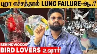மூச்சை திணற 👃🏾வைக்கும் புறா எச்சம்.. 🕊 BIRD LOVERS உஷார்..!