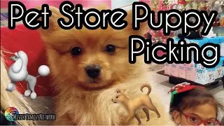 Purchasing a NEW DOG - Buying a Puppy at Fashionable Pets NJ Pet Store - Garden State Plaza Paramus