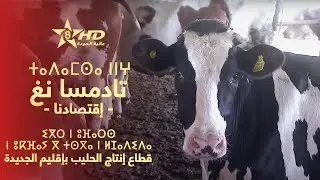 Tadamsa ngh | ⵜⴰⴷⴰⵎⵙⴰ ⵏⵏⵖ - ⵉⴳⵔ ⵏ ⵓⴼⴰⵔⵙ ⵏ ⵓⴽⴼⴰⵢ | اقتصادنا - قطاع إنتاج الحليب بإقليم الجديدة
