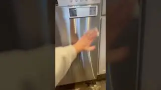 Insider scoop on the ACTIVE appliance surface cleaner!