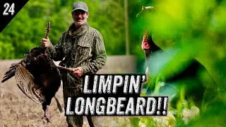 HUNTING A WOUNDED TURKEY!