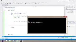 VB 2012  60  Do loop