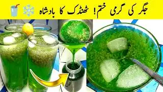 Mint Pudina Sharbat Recipe 2025 🔥 Easy & Refreshing Nimbu Drink for Summer at Home 