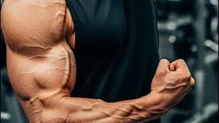 Full Biceps Workout at Home Equipment&rsquo;s l 4 Complete Exercise for Arms l Self Body Maintain (SBM)