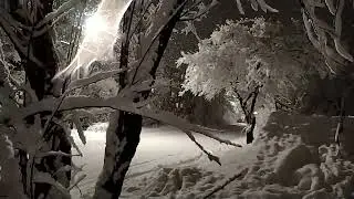 Белый снег