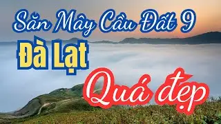 Săn mây cầu đất Đà Lạt | Vườn hoa Cẩm Tú Cầu | Cloud9 Glamping | Bầu Trời Đồng Nai Vlogs