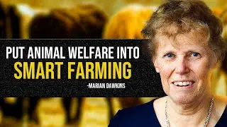 HCFAI Webinar - Put Animal Welfare into Smart Farming - Prof Marian Dawkins, Oxford University