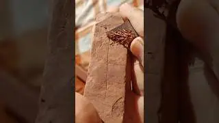 Red slate bar cleaning #redslatebar #slatebars #slatebar #slatepencil #asmr #asmrsounds #slate #diy