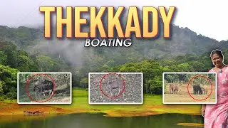 Thekkady Boating🐘 | Periyar TIGER Reserve Wildlife | tickets & timings COMPLETE INFORMATION