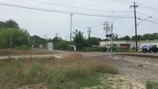 NS 316