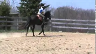 Annings First Step