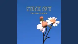 Everything You Wanted