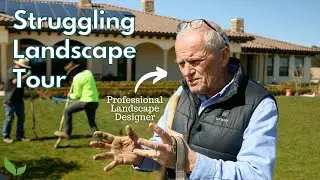 Struggling Landscape Renovation | Garden Tour With Professional Landscape Designer (Before)