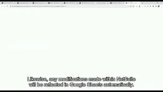 NetSuite to Google Sheets Integration