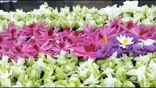 විශ්ව ආකර්ෂා  vishwa  akarsha is live  ස්වර්ණ මාලී සෑ අබියස  🙏🙏🙏