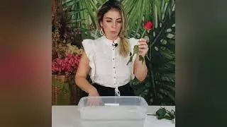 COMO HIGIENIZAR FLORES NATURAIS