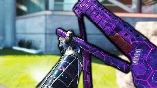 *NEW* IW 