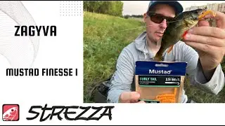 Mustad Finesse Worm I. - DRAGGING Lures Test and Review - Paddle & Curly Tail | Strezza Fishing