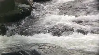 The mother nature at dhamod -tulsi dam