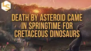 North Dakota Fossil Site Reveals When Asteroid Killed Dinosaurs
