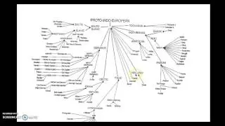 When and why did language evolve