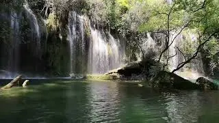 Jungle Waterfall 1 Hour Silent &ndash; Peaceful Tropical Rainforest Ambience (No Ads, No Music)