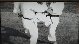 Bunkai...Timing and distance @goju Ryu @iogkf @bunkai