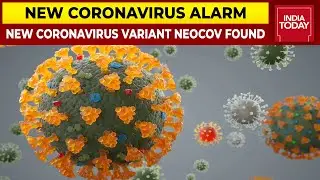 NeoCoV - New Coronavirus Variant Found By China; Know Everythig About NeoCoV | Coronavirus Update