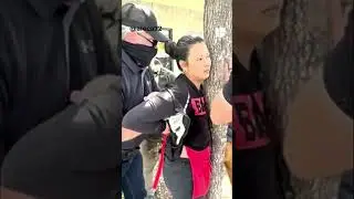 Vendedora de tacos se aferra a un &aacute;rbol para evitar que ICE la arreste: todo qued&oacute; captado en video