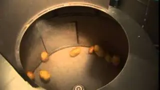 Potato peeling and washing with the KRONEN Compact-line and PL40