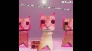 Cuando Alvaro y Joaquin, mis amigos, vienen a mi casa, 