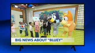Bluey and Bingo are coming to Disney Parks and Disney Cruise Line