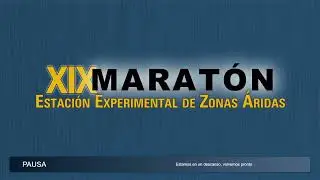 LIVE STREAMING: XIX Marat&oacute;n EEZA