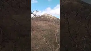 #весна #природа #апрель #прогулка #лес #горы #шортс #видео #shorts #video #nature #spring #walk