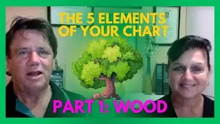 Your unique personality according to the 5 elements | Part 1: Wood - 9 Pillar Success Hub