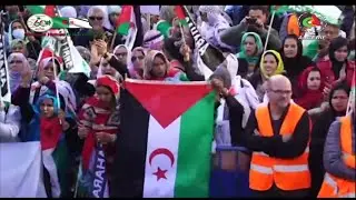 Espagne: De grandes marches de soutien au peuple sahraoui- Canal Alg&eacute;rie