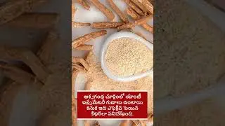 Ashwagandha Churna @javapresent