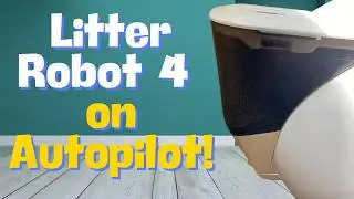 Обзор моего мусорного контейнера | Работает ли он так, как задумано?