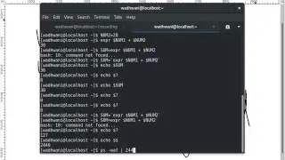 Learn Linux 35 Shell Scripting 2
