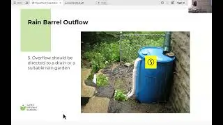 Rain Water Harvesting and Rain Gardens