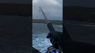 Major Craft Crostage