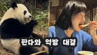 2025 롤드컵 티켓 없이 청두 간 썰-3(부제: 잡아도 돼 안 잡아도 되고)