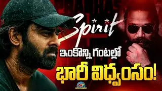 #Spirit First Look Update 🔥 ? | Prabhas | Sandeep Reddy Vanga | Tripti Dimri | NTV ENT